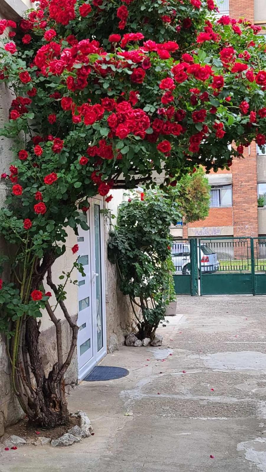 Happy Star Apartman Ni Kültér fotó